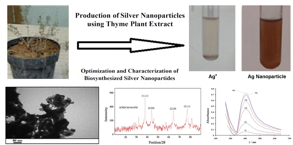 Optimization and characterization of biosynthesized silver nanoparticles by the extract of the thyme plant